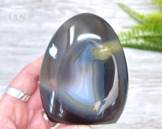 Orca Agate Freeform #6