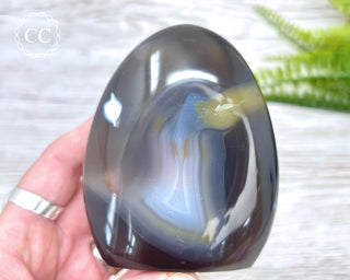 Orca Agate Freeform #6