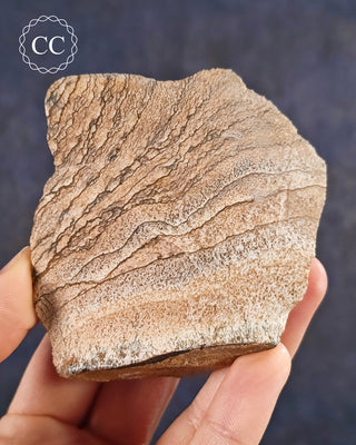 African Queen Picture Jasper - Namibia #2