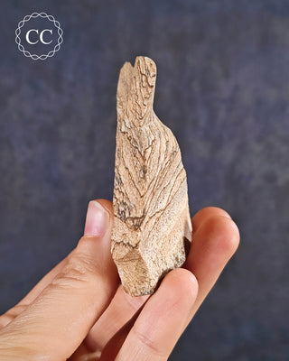 African Queen Picture Jasper - Namibia #2
