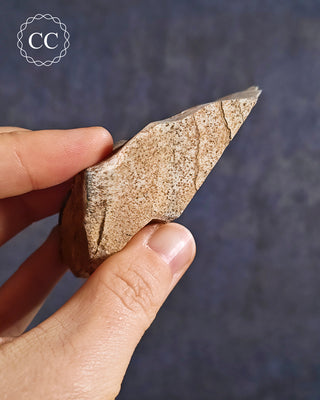 African Queen Picture Jasper - Namibia #2