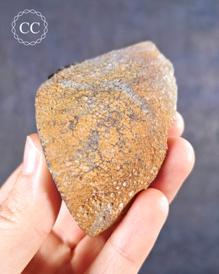 Agate Geode #6