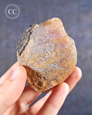Agate Geode #6
