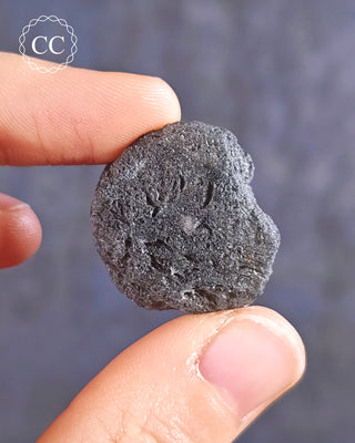 Agni Manitite #8