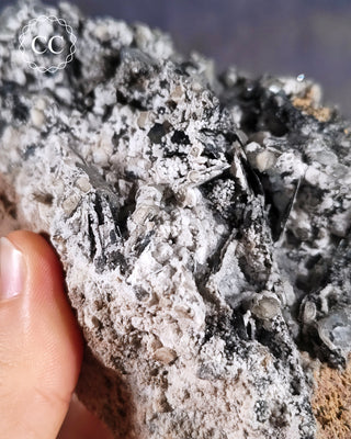 Bladed Hematite & Calcite Specimen - Murcia #1