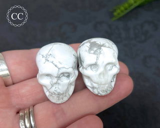 Howlite Skull