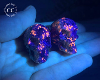 Firestone Small Skulls in hand under UV light