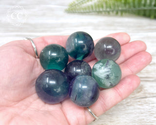 A hand holding seven mini Rainbow Fluorite crystal spheres 