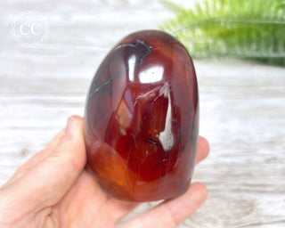 Carnelian Freeform #6