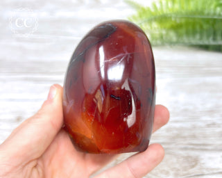 Carnelian Freeform #6