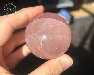 Star Rose Quartz Sphere #6