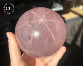 Star Rose Quartz Sphere #11