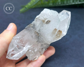 Brookite In Quartz #1