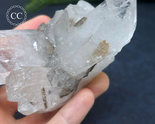 Brookite In Quartz #1