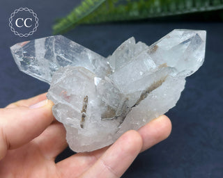 Brookite In Quartz #1