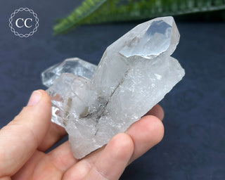 Brookite In Quartz #1