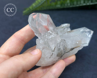 Brookite In Quartz #1