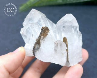 Brookite In Quartz #3