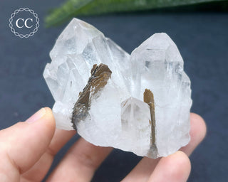Brookite In Quartz #3