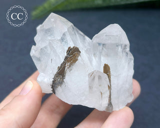 Brookite In Quartz #3
