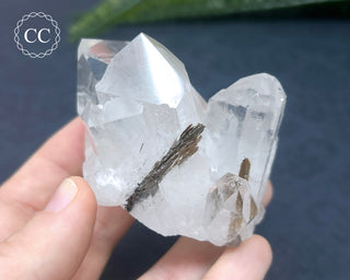 Brookite In Quartz #3
