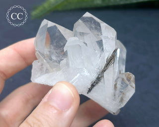 Brookite In Quartz #3