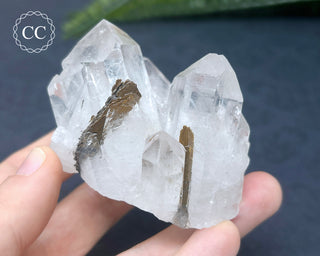 Brookite In Quartz #3