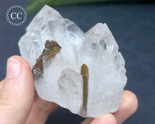 Brookite In Quartz #3