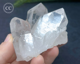 Brookite In Quartz #3