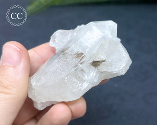 Brookite In Quartz #4