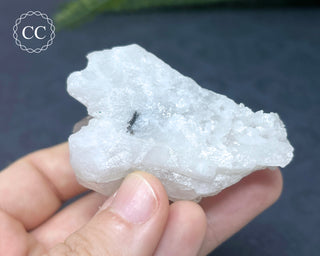 Brookite In Quartz #4