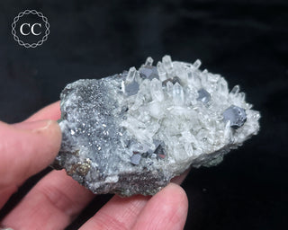 Quartz, Galena & Pyrite - Bulgaria #10