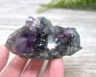Amethyst Cluster #7