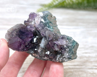 Amethyst Cluster #7