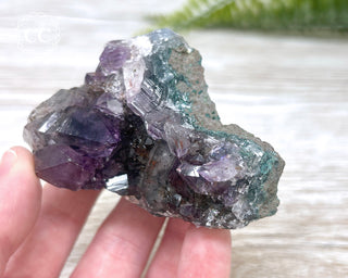 Amethyst Cluster #7