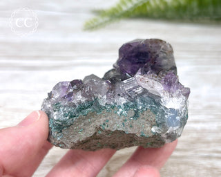 Amethyst Cluster #7