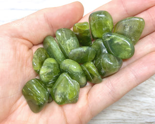 A hand holding a selection of Idocrase / Vesuvianite tumbled crystals 