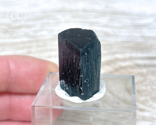 Ilvaite Crystal #1