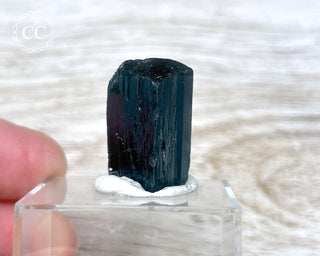 Ilvaite Crystal #1