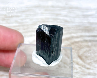 Ilvaite Crystal #1