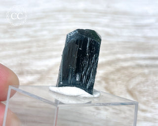 Ilvaite Crystal #1