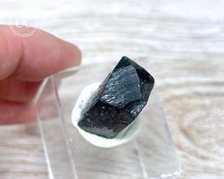 Ilvaite Crystal #1