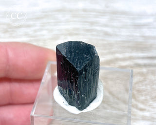 Ilvaite Crystal #1