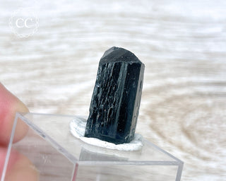 Ilvaite Crystal #1