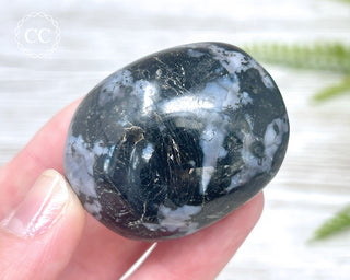 Indigo Gabbro | Mystic Merlinite Chunky Palm Stone #1