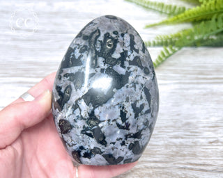 Indigo Gabbro | Mystic Merlinite Freeform #2