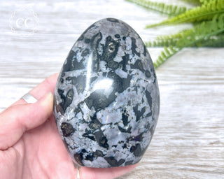 Indigo Gabbro | Mystic Merlinite Freeform #2