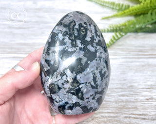 Indigo Gabbro | Mystic Merlinite Freeform #2