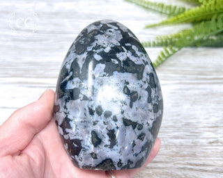 Indigo Gabbro | Mystic Merlinite Freeform #2