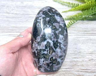 Indigo Gabbro | Mystic Merlinite Freeform #1